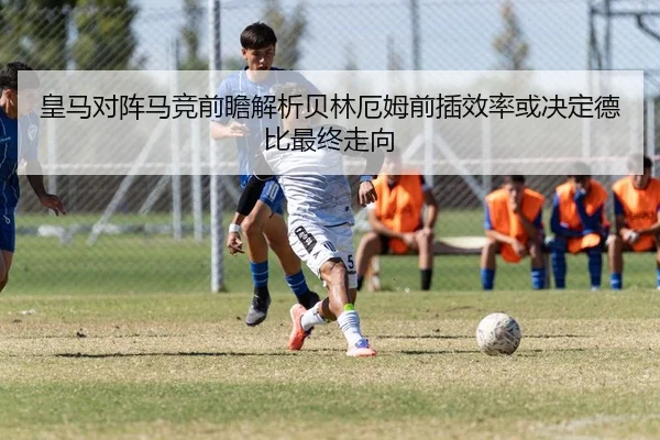 img_1783705711699_12_1_579.jpg